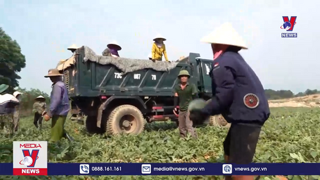 Bản tin thời sự 11h ngày 23/5/2024