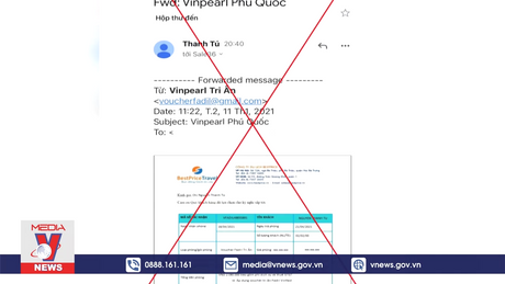 Cảnh báo lừa đảo giả thương hiệu uy tín qua mạng