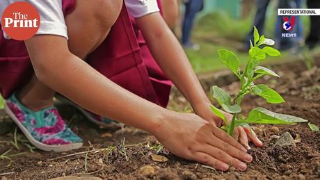 Tương Lai Xanh ngày 23/5/2024