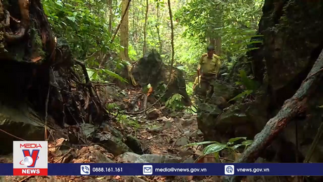 Tuyên Quang bảo tồn đa dạng sinh học và bảo vệ động vật quý hiếm