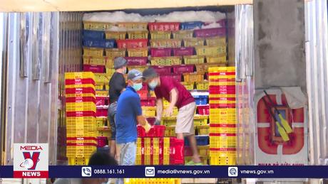 Xuất khẩu cá ngừ tăng mạnh