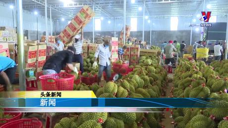 越通社新闻 - Bản tin tiếng Trung ngày 24/5/2024