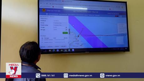 Tập trung xử lý vi phạm giám sát tàu cá