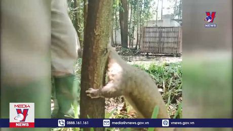 Bản tin Thời sự 21h ngày 24/5/2024