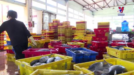 Nhật trình kinh tế ngày 24/5/2024