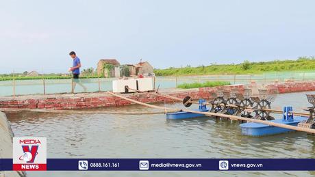  Nguy cơ bùng phát bệnh đốm trắng trên tôm