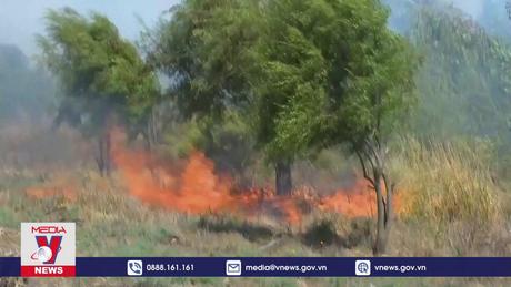 Chile bắt nghi can gây vụ cháy thảm họa