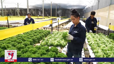 Vướng mắc chính sách cho tín dụng xanh