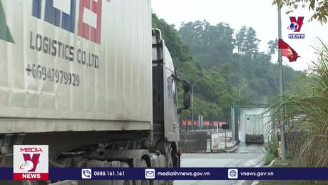 Bản tin thời sự 8h ngày 25/5/2024