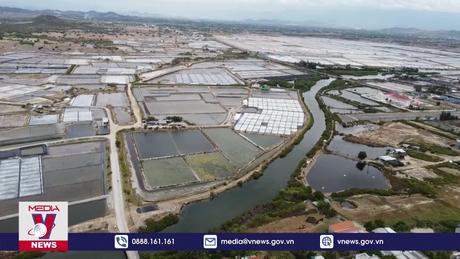 Vào vụ thu hoạch muối lại mất giá