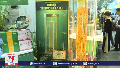 Độc đáo lễ hội sâm đầu tiên tại Việt Nam