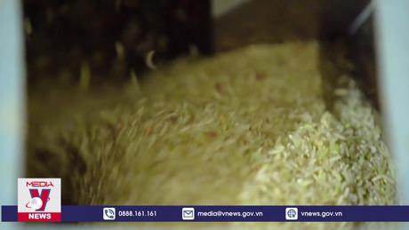 Đảm bảo nhu cầu tiêu thụ gạo trong nước và xuất khẩu