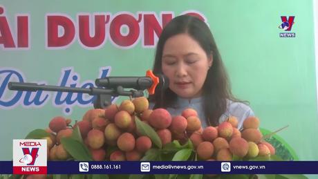 Xúc tiến tiêu thụ vải thiều Thanh Hà gắn với các tour du lịch 