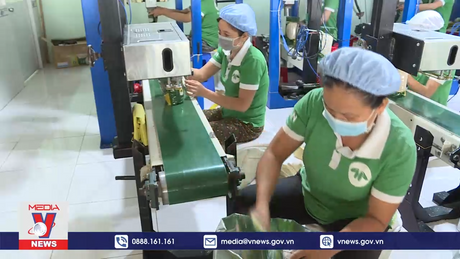 Xuất khẩu gạo đảm bảo mục tiêu kép