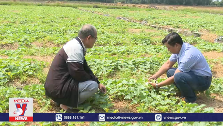 Đẩy mạnh phát triển nông nghiệp theo hướng thuận thiên