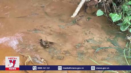 Dân khốn khổ từ khi nhà máy chế biến mủ cao su đi vào hoạt động