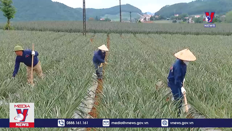 Bản tin thời sự 18h ngày 28/5/2024