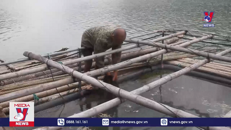 Bản tin thời sự 17h ngày 29/5/2024