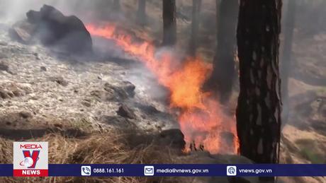 Cháy rừng hoành hành tại nhiều nơi