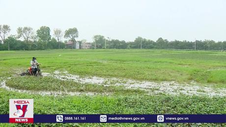 Thúc đẩy “tri thức hóa” nông dân