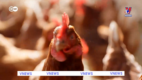 Tạp chí toàn cầu số 951 ngày 30/5/2024