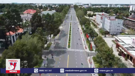 Công ty cây xanh Công Minh trúng thầu hàng chục tỷ đồng tại Đồng Tháp