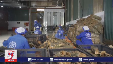 Doanh nghiệp chờ đợi bộ tiêu chí phân loại xanh