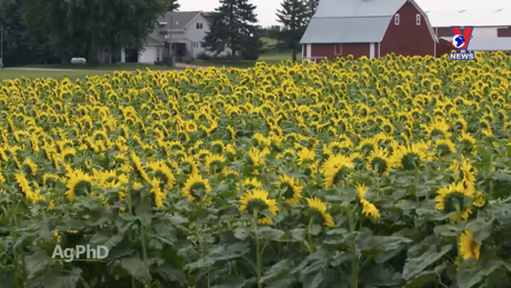 Tương Lai Xanh ngày 30/5/2024