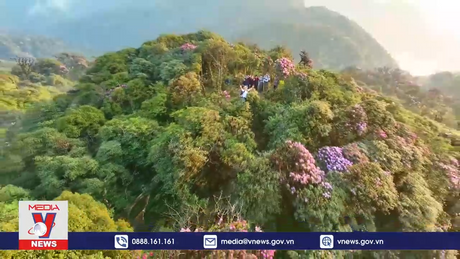 Vùng cao Lai Châu phát triển du lịch gắn với bảo vệ rừng