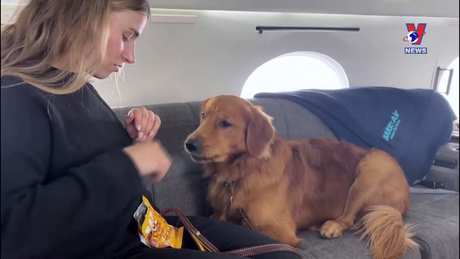 Thú vị năm châu ngày 30/5/2024