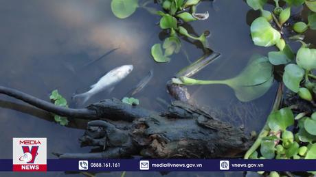 Xác định nguồn thải gây ô nhiễm sông Vàm Cỏ Đông