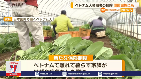 Tỉnh Yamanashi giới thiệu chính sách bảo hiểm mới cho lao động Việt Nam