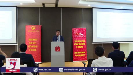 Việt Nam và Singapore thúc đẩy thương mại điện tử xuyên biên giới