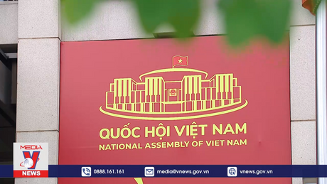 Không để công việc trì trệ vì bệnh sợ trách nhiệm