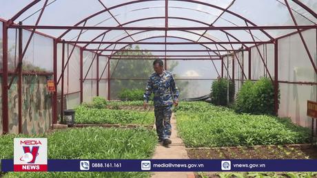 Những vườn rau quý giá nơi đầu sóng ngọn gió Trường Sa