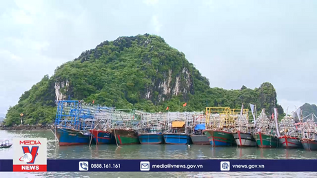 Công bố Quy hoạch bảo vệ nguồn lợi thủy sản