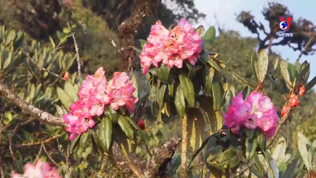 Nhật trình kinh tế ngày 31/5/2024