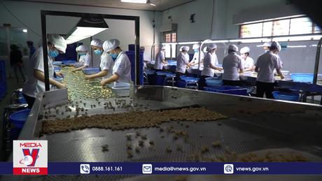 Lao đao vì bị “xù” hợp đồng giao điều thô