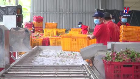 Nhật trình kinh tế ngày 01/6/2024