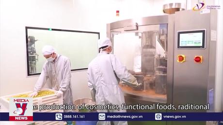 Bảo vệ thương hiệu khi xuất khẩu trực tuyến