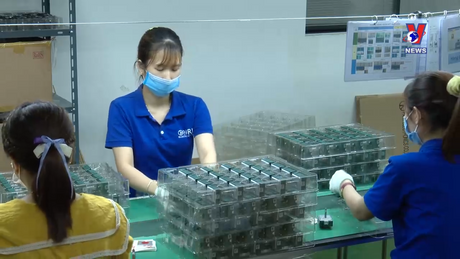 越通社新闻 - Bản tin tiếng Trung ngày 01/6/2024
