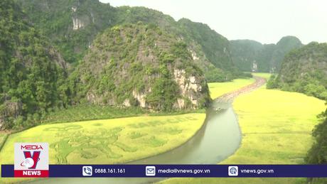 Trải nghiệm cánh đồng lúa Tam Cốc, Ninh Bình