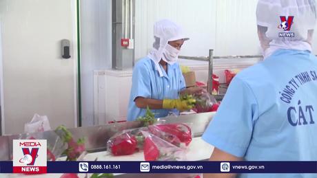 Bản tin Thời sự 8h ngày 01/6/2024