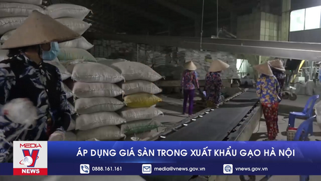 Áp dụng giá sàn trong xuất khẩu gạo Hà Nội