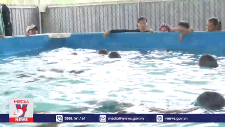 Lan tỏa mạnh mẽ việc dạy bơi an toàn cho học sinh