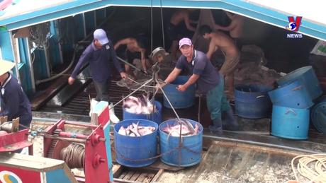 Nhật trình kinh tế ngày 03/6/2024