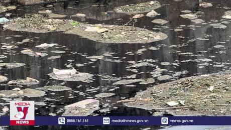 Khẩn trương khắc phục ô nhiễm các hồ lắng quanh hồ Xuân Hương – Đà Lạt