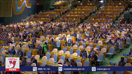 Các chuyên gia LHQ kêu gọi công nhận Nhà nước Palestine