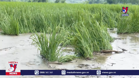 Tuyên Quang cảnh báo cấp độ rủi ro thiên tai cấp 1