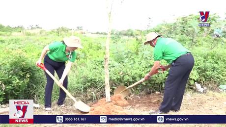 Gần 40.000 cây rừng được trồng nhân Ngày môi trường thế giới 